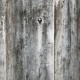 Affreschi & Affreschi | Carpe Diem | CD010